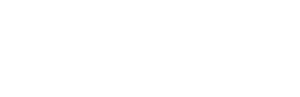 Raccoon Studio